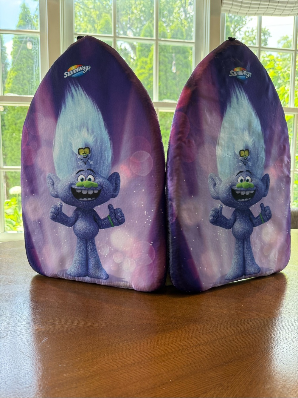 SwimWays Troll Character Kickboard Pair - Purple